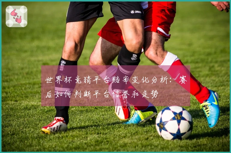 世界杯竞猜平台赔率变化分析：赛后如何判断平台信誉和走势