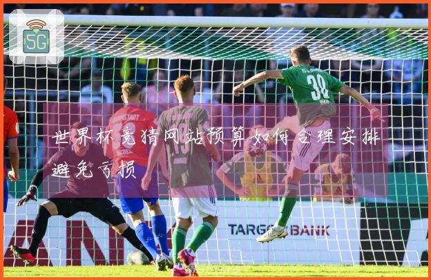 世界杯竞猜网站预算如何合理安排避免亏损
