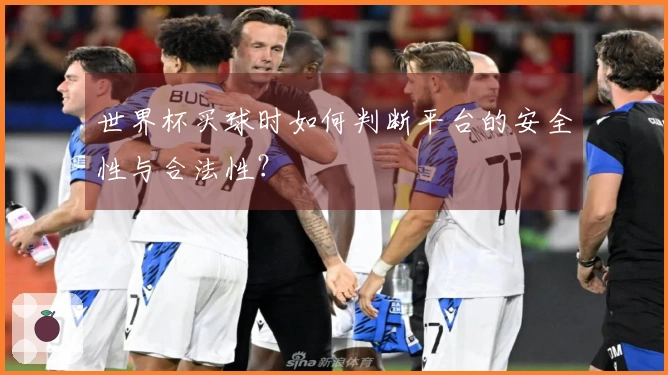 世界杯买球时如何判断平台的安全性与合法性？