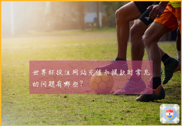 世界杯投注网站充值和提款时常见的问题有哪些？