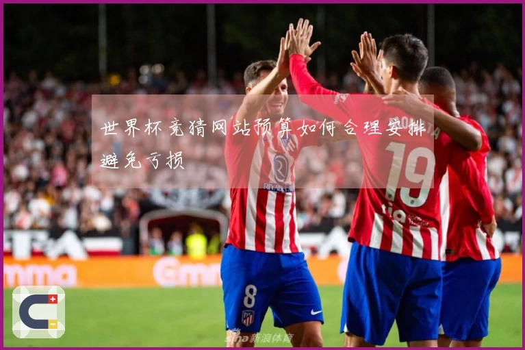 世界杯竞猜网站预算如何合理安排避免亏损