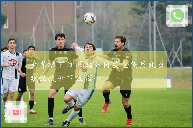 世界杯下注网站如何安全使用比分数据提升下注信心