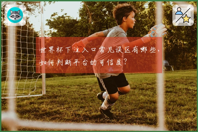 世界杯下注入口常见误区有哪些，如何判断平台的可信度？